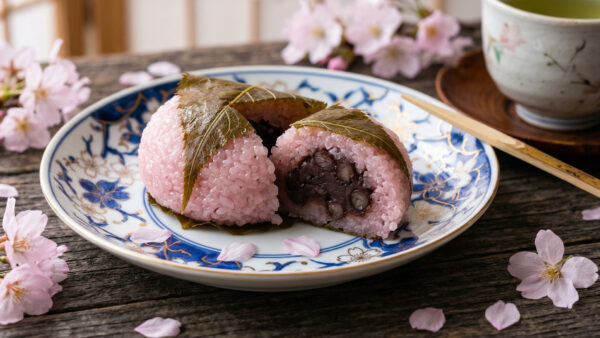 道明寺｜お菓子の辞典
