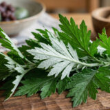 よもぎ｜お菓子・パン材料辞典