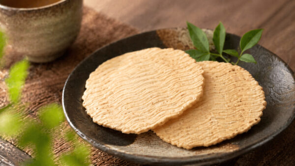 大分謎のとり天せんべい（宝コンフェクト）｜土産菓子紹介
